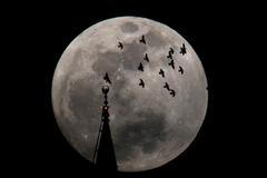 Země zažila největší letošní úplněk