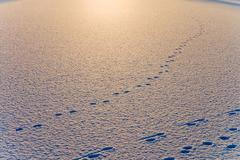 Foto: Zima je tu. Nechte se očarovat jejími krásami. /// Ilustrační snímek ///