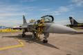 JAS - 39 Gripen