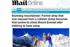 Rupee, první pes v BC pod Mt Everestem