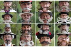 Foto: Evropský šampionát vousáčů 2012