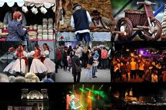 WoL - Dalibor Adamus