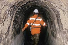 Fotogalerie: Nejsmrdutější práce na světě