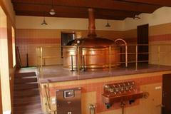 Ovládnou minipivovary český trh?