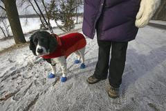 Fotogalerie: Mrazivé počasí v USA