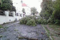 Silná bouře lámala v Praze stromy. Pohled do jedné z ulic v pražských Modřanech.