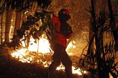 portugalsko lesní požár