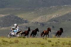 Rallye Dakar 2013, devátá etapa mezi Tucumánem a argentinskou Cordobou (Francouz Vincent Guindani)