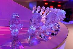 Český lev (ilustrační foto)