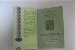 Češi dostanou pasy s digitálními otisky.