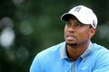 WGC 2013: Tiger Woods