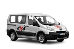 Peugeot Dangel Expert