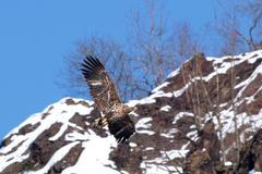 Příroda Křivoklátska