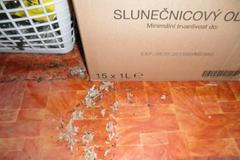 Myší trus v prodejně potravin Phu Nguyen v Hrabišíně na Šumpersku