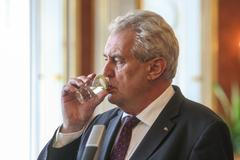 Zeman jmenoval Rusnoka předsedou vlády