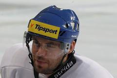 Česká hokejová reprezentace (Karjala Cup 2013): Smoleňák