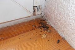 Zavřená prodejna ve Vojtanově