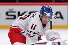Hokej, MS 2013, Česko - Kanada: Petr Hubáček