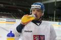 Český hokejový reprezentant Tomáš Plekanec při tréninku před Karjala Cupem 2012.