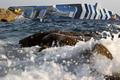 Costa Concordia