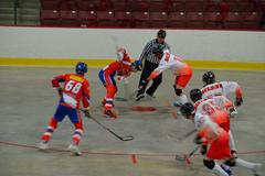 MS 2013 v hokejbale - Česko vs. Švýcarsko