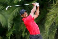 VIDEO Takhle Woods trefil palmu