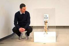 David Shrigley turner prize 2013