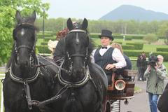 Ivana Zemanová na dostizích