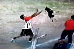 Fotbalista dostal červenou kartu za týrání psa