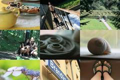 Week of Life - Dream Dream - 8.7.12 - cover