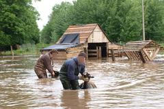 Povodeň červen 2013 - záchrana ovcí