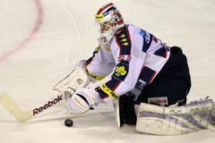 Hokej, extraliga: Kladno - Pardubice: Dušan Salfický