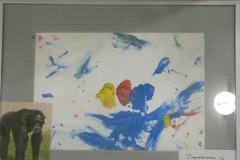 Zoo v Heidelbergu s úspěchem vydražila obrazy namalované zvířaty