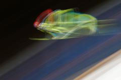 FOTO Lety, pády a hordy fanoušků. Nejlepší snímky z Turné