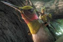 Království lesních strážců