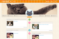 Sociální síť pro kočky