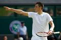 Australský tenista Bernard Tomic na Wimbledonu 2013