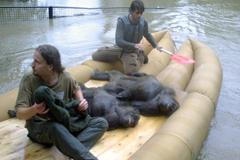 Foto: Připomeňte si, jak vypadala pražská ZOO během povodní v roce 2002