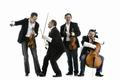 Mozart Group
