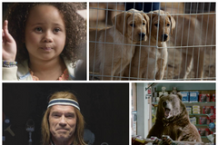 Reklamní spoty Super Bowl 2014