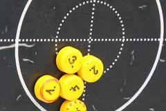 MS v biatlonu 2013: terč