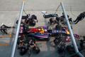F1, VC Malajsie 2014: Daniel Ricciardo, Red Bull