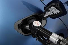 VW Golf Variant TGI Bluemotion