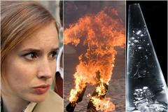 Český lev Hořící keř