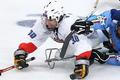Nominace na paralympiádu v Soči (ilustrační foto)