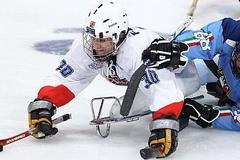 Nominace na paralympiádu v Soči (ilustrační foto)