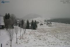 Bukovec v Harrachově