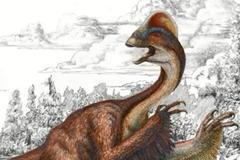 Dinosaurus Anzu wyliei