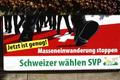 Švýcarští nacionalisté zas vyhráli volby a mají většinu