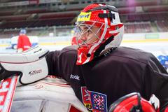 Česká hokejová reprezentace (Karjala Cup 2013)